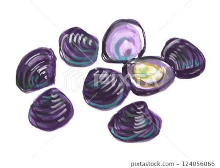 Fresh and delicious looking clam watercolor illustration Fresh and delicious looking clam watercolor illustration 124056066