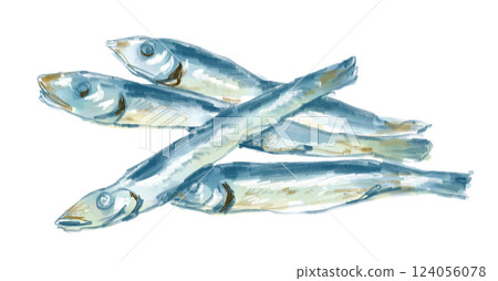 美味的乾沙丁魚水彩插圖 124056078