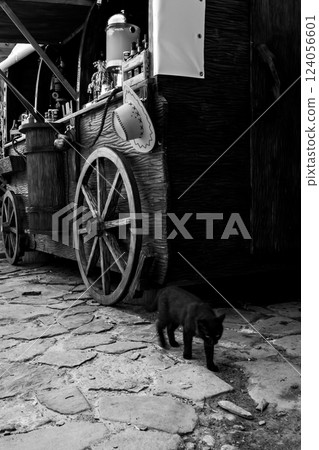 alley cat in shantytown 124056601