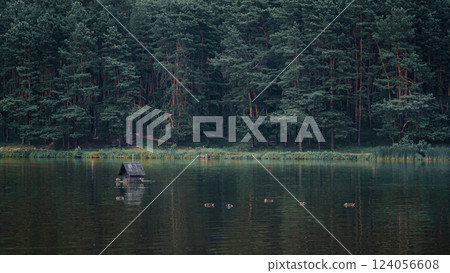 The tranquil lake is nestled beside a lush forest of tall pine trees. The tranquil lake is nestled beside a lush forest of tall pine trees. 124056608