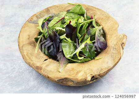 Green salad, fresh salad leaves. Green salad, fresh salad leaves. 124056997