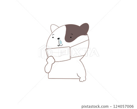 Hay fever cat Hay fever cat 124057006