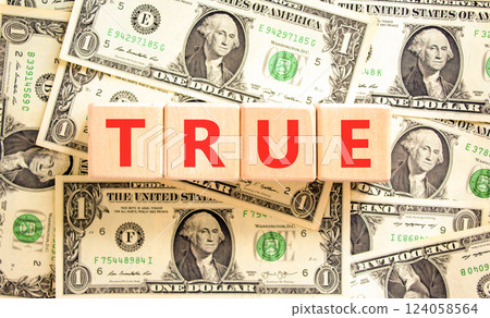 True symbol. Concept word True on beautiful wooden blocks. Dollar bills. Beautiful background from dollar bills. Business, lifestyle, support and true concept. Copy space. 124058564