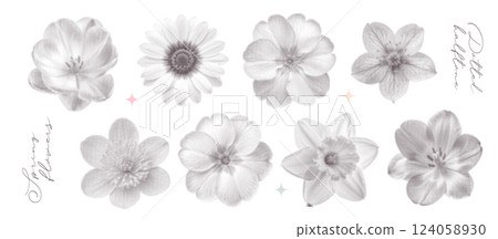 Vintage spring flowers kit. Collage flowerheads in top view with a girly aesthetic. Retro bitmap scrapbooking style with cutout element. Trendy stickers with photocopy dotted effect. 124058930