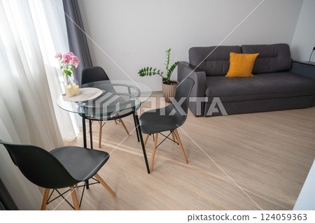Apartment Interior Design Modern Furniture Living Room: Stylish Glass Table, Gray Sofa, Minimalist Decor. 124059363