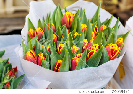 Close-up rows fresh yellow Dutch tulip bouquets wrapped white paper vibrant street flower market sale. Lot multicolored tulips bouquets. Floral blooming wholesale retail plant store. Florist service Close-up rows fresh yellow Dutch tulip bouquets wrapped white paper vibrant street flower market sale. Lot multicolored tulips bouquets. Floral blooming wholesale retail plant store. Florist service 124059455