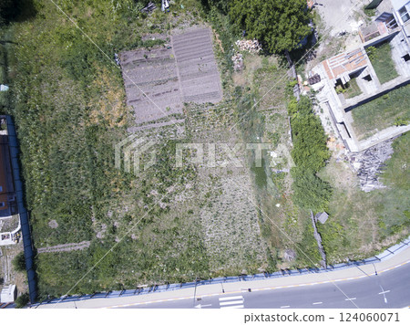 wild field, view from above 124060071