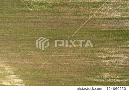 farm field, agriculture, view from above 124060250