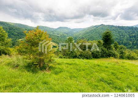 mountain landscape of a countryside in summer. beautiful nature environment under cloudy sky. forest on the hill behind the meadow mountain landscape of a countryside in summer. beautiful nature environment under cloudy sky. forest on the hill behind the meadow 124061005