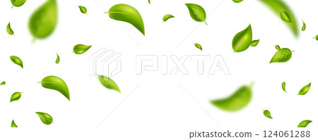 Green tea leaves frame. Natural vivid plants. Leaf flying. Wave foliage ornament. Vegan, eco, organic design element. Cosmetic pattern border. Beauty product. Fresh herbal. Vector illustration 124061288