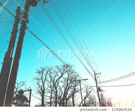 Cranes illuminated by the morning sun 124062016