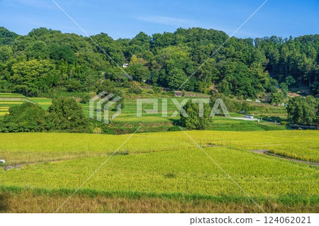飛鳥村梯田的秋景 124062021