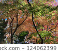 染上秋色的秋葉 124062399