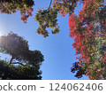 秋葉楓樹和太陽 124062406