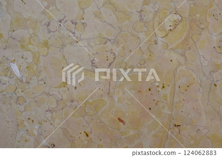 Ammonite fossils on a marble wall 124062883