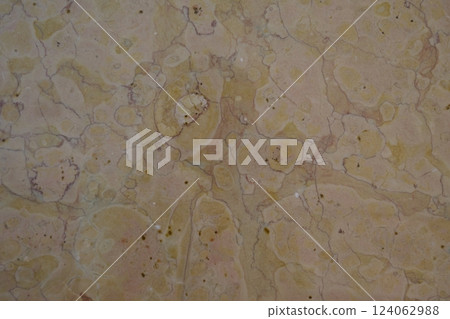 Ammonite fossils on a marble wall Ammonite fossils on a marble wall 124062988