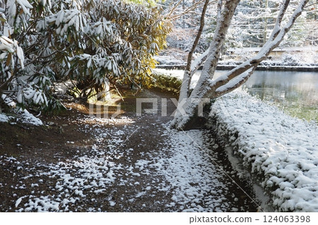 高野山的雪景 124063398