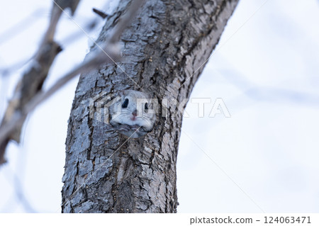 Ezomomonga Ezomomonga 124063471