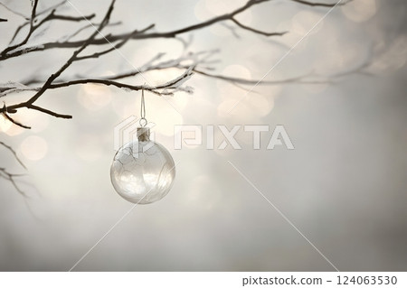 Elegant glass christmas ornament hanging on frosty branch in winter 124063530