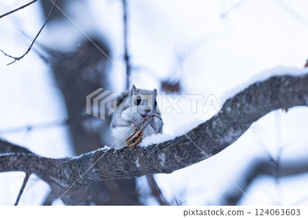 Ezomomonga 124063603