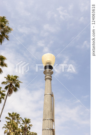 Street Light. Working Lamppost, Light Bulb on Column. Blue Cloudy Sky and Palm Trees on Background. Vertical Plane. Outdoor Lighting System 124063618