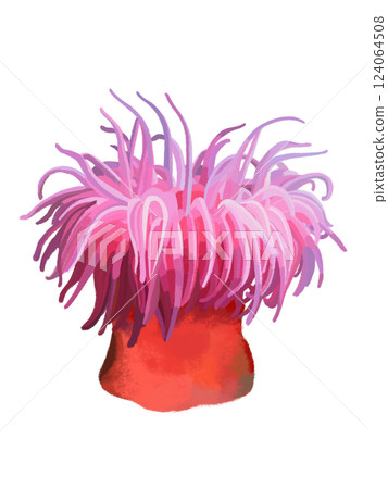 Red Sea Anemone Red Sea Anemone 124064508
