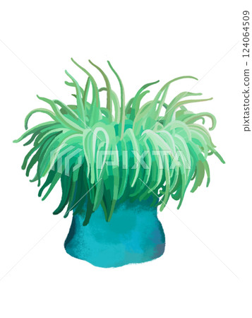 Sea anemone (green) Sea anemone (green) 124064509