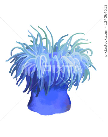 Sea anemone (blue) Sea anemone (blue) 124064512
