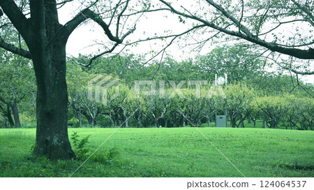Park Square Aoba no Mori Park 124064537