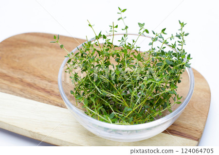 Fresh thyme on white background. 124064705