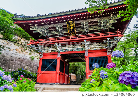 茨城天引觀音：繡球花盛開的仁王門 124064860