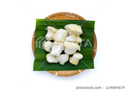 Fresh lion's mane mushroom on white background. (Yamabushitake Mushroom) 124064874