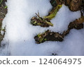 野外積雪 124064975