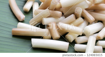 Fresh lotus rootlet on banana leaf Fresh lotus rootlet on banana leaf 124065015