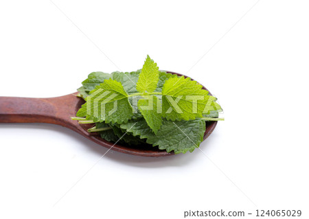 Fresh lemon balm on white background. Fresh lemon balm on white background. 124065029