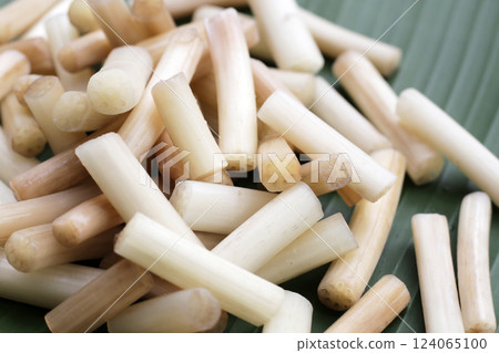 Fresh lotus rootlet on banana leaf 124065100