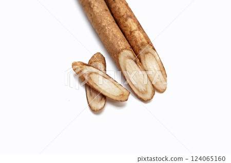 Burdock Root (Gobo) on white background. 124065160