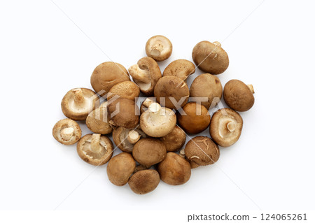 Fresh shiitake mushrooms on white background. 124065261