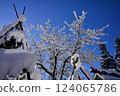 雪堆的樹枝 124065786