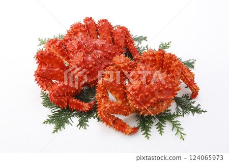 Boiled Hanasaki crab on a white background Boiled Hanasaki crab on a white background 124065973