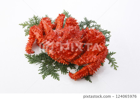 Boiled Hanasaki crab on a white background Boiled Hanasaki crab on a white background 124065976