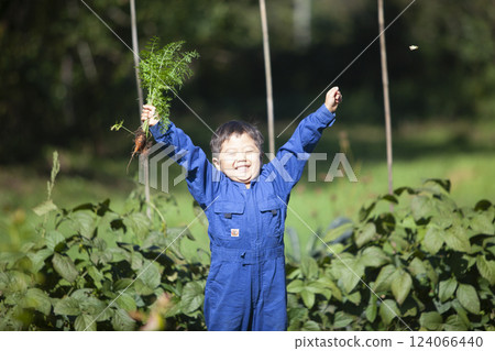 Boy harvesting in the field 124066440