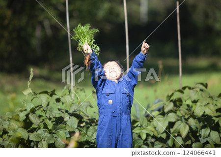 Boy harvesting in the field 124066441