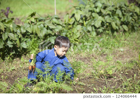 男孩在田裡收割 124066444