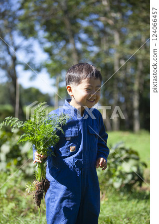 Boy harvesting in the field 124066457