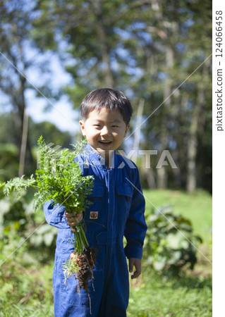 Boy harvesting in the field 124066458