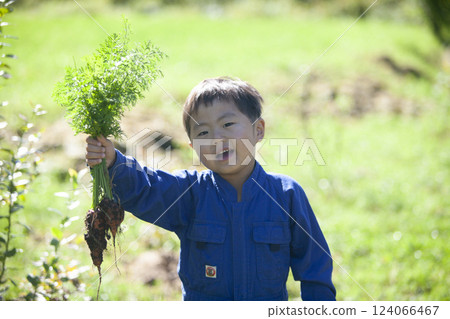 Boy harvesting in the field 124066467