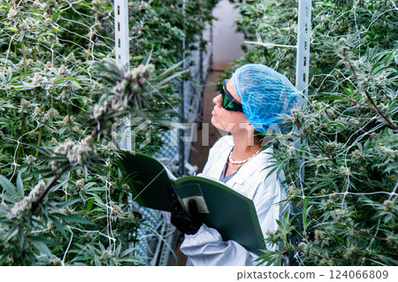 Lab technician assesses cannabis plants while making precise measurements and calculations. 124066809