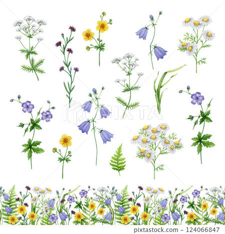 Wild flowers vintage style watercolor illustration hand drawn set. Hand drawn blue bell flower, chamomile, buttercup, fern leaves and green grass elements on white background summer mood collection Wild flowers vintage style watercolor illustration hand drawn set. Hand drawn blue bell flower, chamomile, buttercup, fern leaves and green grass elements on white background summer mood collection 124066847