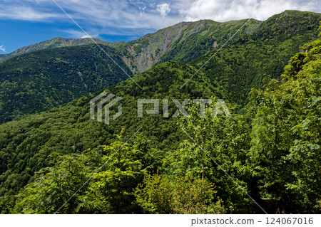 Arakawadake, Southern Alps as seen from the climb to Senmaigoya hut Arakawadake, Southern Alps as seen from the climb to Senmaigoya hut 124067016